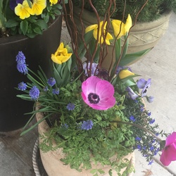Outdoor Seasonal Containers